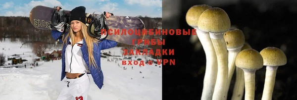 mdma Горнозаводск