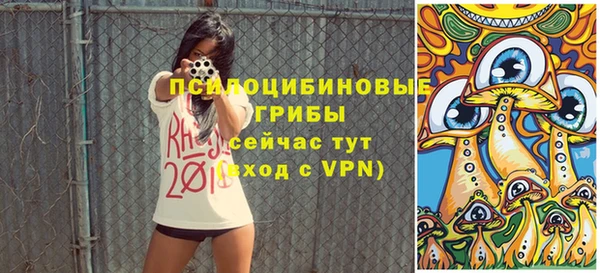 mdma Горнозаводск